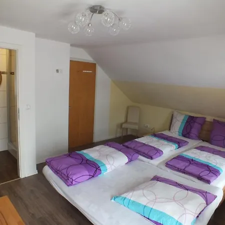 ドライメダールハウス